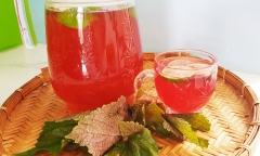 Nước Shiso - nước tía tô có tác dụng gì mà được người Nhật yêu thích?