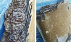 Mảnh vỡ ở Maldives có thể hé lộ vị trí rơi của máy bay mất tích MH370?