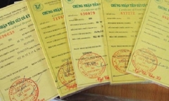Chân dung con gái nuôi tài giỏi thừa kề 1.000 tỷ của 