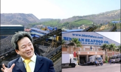 Bầu Hiển vì sao thôi nhiệm Chủ tịch HĐQT Thủy sản Bình An?