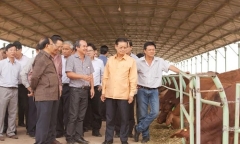 Bầu Đức thu nhập 