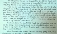 Vụ chặt cây xanh: Phó Thủ tướng yêu cầu khẩn trương thanh tra 