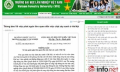 Vụ chặt cây xanh: Phó Thủ tướng yêu cầu khẩn trương thanh tra 