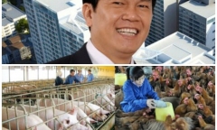Đại gia ngành thép: 