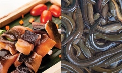 Lươn là thực phẩm không chỉ ngon, bổ dưỡng nhưng lại 