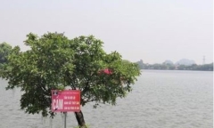 Ninh Bình: Tìm thấy thi thể nam công nhân bị đuối nước khi đi tắm hồ