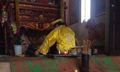 Thánh chữa bệnh