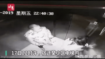 Đi thang máy một mình, cô gái trẻ bất ngờ bị 