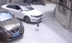 Bé gái ngồi giữa đường bị xe tông suýt chết, sự tình xảy ra trước đó khiến người người phẫn nộ