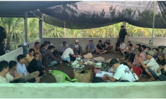 Bắt quả tang 56 đối tượng đánh bạc dưới hình thức đá gà, lắc tài xỉu, thu giữ nhiều tài sản có giá trị