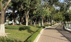 Đồng Nai: Truy tìm 