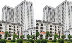 Vi phạm trong công bố loạt tài liệu, Cơ điện Công trình bị phạt hơn 90 triệu 