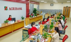 Lãi suất ngân hàng hôm nay 8/11/2024: Một nhà băng bất ngờ tăng lãi suất huy động