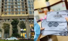 Chứng khoán Agribank, An Bình, Bảo Việt liên quan hoạt động phát hành trái phiếu Tân Hoàng Minh thế nào?