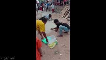 Chàng trai mất mạng vì chơi đùa, hôn rắn hổ mang chúa trước đám đông