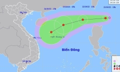 Áp thấp nhiệt đới giật cấp 8 đang tiến vào biển Đông
