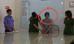 Khởi tố nữ nhân viên thử việc tại ngân hàng lừa đảo, chiếm đoạt 8,5 tỷ đồng