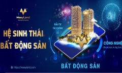 Tập đoàn Meey Land của ông Hoàng Mai Chung: Vốn chủ sở hữu 30 tỷ đồng, nợ phải trả lên tới hơn 590 tỷ đồng