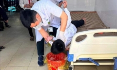 Tin thời sự mới nóng nhất 11/3: Sức khỏe của 13 học sinh ngộ độc do ăn quả cây ngô đồng
