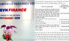 EVNFinance sắp chào bán 351 triệu cổ phiếu giá 11.000 đồng