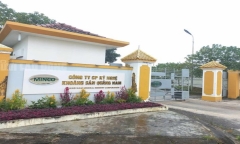 Vì sao Công ty Kỹ nghệ khoáng sản Quảng Nam bị xử phạt 300 triệu đồng?