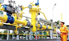Vi phạm về thuế, PV Gas D bị phạt và truy thu hơn 1,6 tỷ đồng