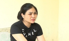Lừa vay tiền đáo hạn ngân hàng,