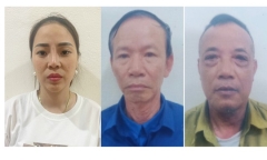 Nữ giám đốc nhà thầu phụ chủ mưu lấy trộm vật tư công trình trị giá 8 tỷ đồng