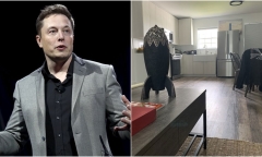 Hé lộ căn nhà siêu giản dị của tỷ phú Elon Musk, chỉ giá trị hơn 1 tỷ đồng