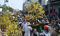Ngày 30 Tết: Người dân đổ xô đi mua hoa giảm giá trước khi tiểu thương trả mặt bằng, cây tiền triệu xả chỉ còn vài trăm nghìn đồng