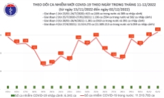 Ngày 2/12: Thêm 635 ca mắc COVID-19 mới, cao nhất trong 3 tuần qua