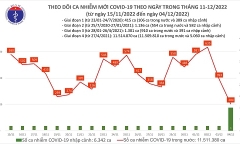Ngày 4/12: Thêm 204 ca mắc COVID-19, thấp nhất hơn 40 ngày qua