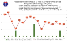 Ngày 17/12: Thêm 319 ca mắc COVID-19 mới, 95 bệnh nhân được công bố khỏi bệnh