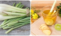 Điểm danh những loại rau thơm giúp bạn sống khỏe