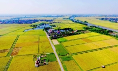 Chuyển đất nông nghiệp sang đất thổ cư hết bao nhiêu tiền?