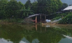 Vụ 2 anh em ruột chết đuối ở Hòa Bình: Bố mẹ đi làm ăn xa