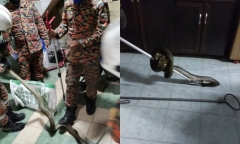 Thanh niên 28 tuổi gặp sự cố hú hồn khi đang đi vệ sinh