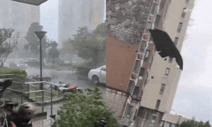 Clip: Bão Bebinca với sức mạnh 