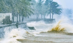 Dự báo tháng 8 có thể xuất hiện 1 - 2 cơn bão, áp thấp nhiệt đới trên Biển Đông