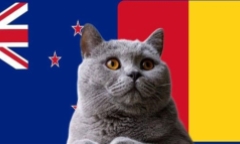 Nhận định soi kèo trận U23 Guinea-U23 New Zealand, Olympic 2024 22h ngày 24/7: Mèo tiên tri gây sốc