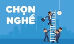 Nên chọn thi ngành gì nếu không trội môn nào?