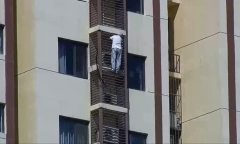 Sập lưới chắn, hổ dữ lao xuống khu vực khán giả khiến đám đông hoảng loạn