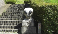 Nhật Bản: Thành lập nhóm điều tra UFO