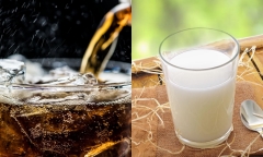 Uống coca kết hợp với sữa có sao không?