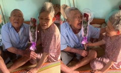 Dân mạng