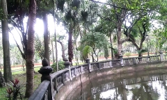 Cây 