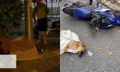 Tin tức tai nạn giao thông mới nhất ngày 25/8: Va chạm ô tô khách trong đêm, nam thanh niên tử vong