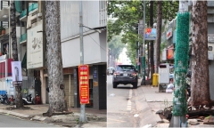TP.HCM: Tháo bỏ lớp cỏ nhựa chống quảng cáo rao vặt trên trụ điện, cột đèn