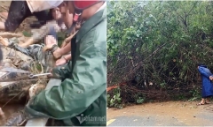 Giải cứu 2 nữ giáo viên bị đất đá sạt lở vùi lấp trên đường đi dạy học về