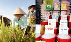 Giá gạo xuất khẩu lập đỉnh, cao nhất trong 15 năm qua